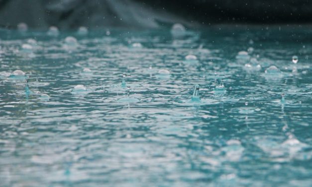 西日本豪雨に関して